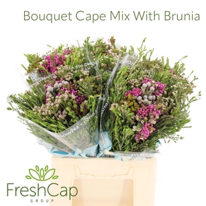 Bouquet Cape Mix