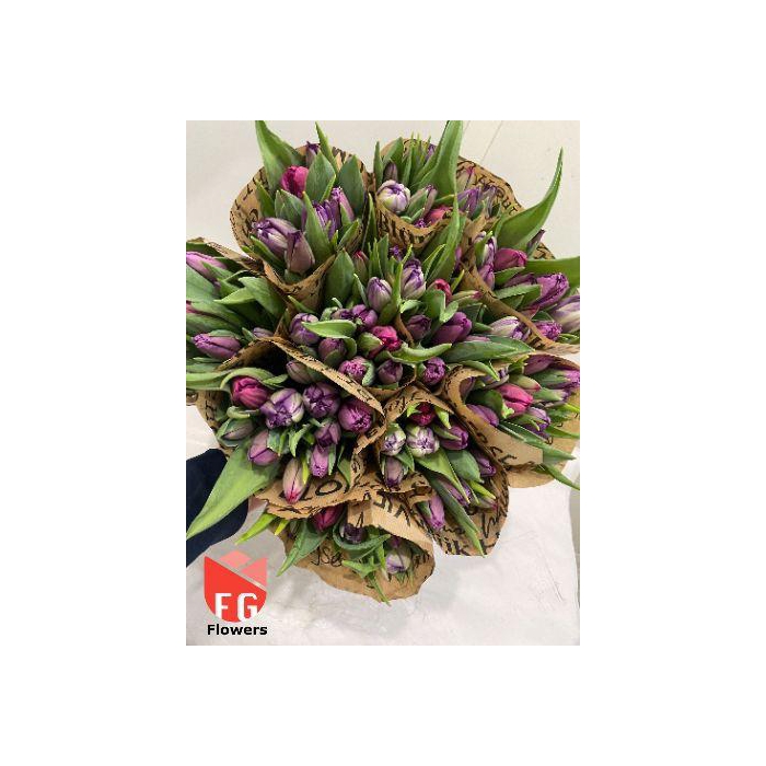 <h4>TU DU GEM Lila Mix</h4>