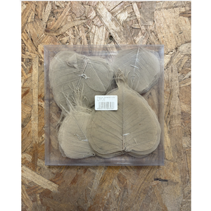 Squelette de feuilles naturelles (par 200)