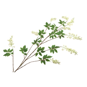 Wisteria White