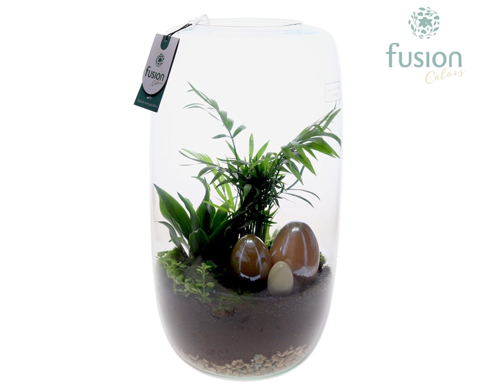 <h4>Green Bottle Isabella XXLarge Pasen met arrangement</h4>