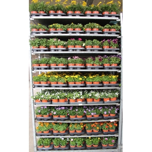 Perkplanten Mixkar