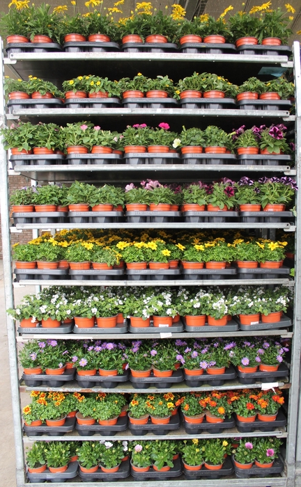 <h4>Perkplanten Mixkar</h4>