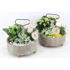 arr2 PL - Etagere rond 5x - geel/wit