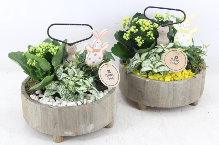 <h4>arr2 PL - Etagere rond 5x - geel/wit</h4>