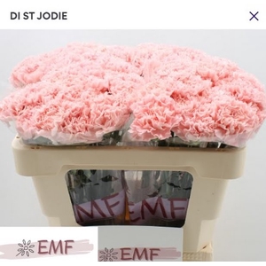 Di St Jodie EMF