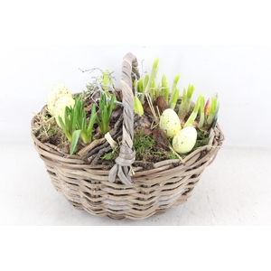 arr4 Bollenmix VL - Hengselmand 338/2