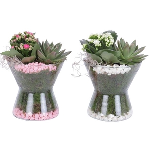 Yearround Arr. Indoor Glass Hourglass Ø16cm 2PP