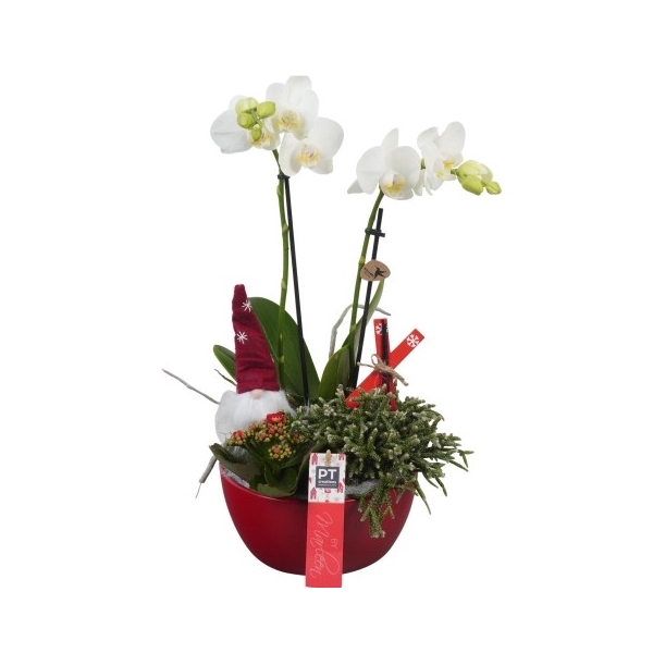 <h4>BMHW1606 Arrangement By Marleen Happy Winter in keramiek schaal</h4>