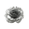 Feather Rose Clip H8D11