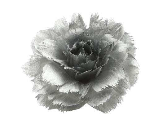 Feather Rose Clip H8D11