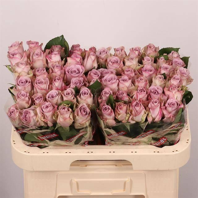 <h4>R GR MEMORY LANE!</h4>