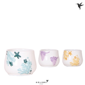 Kolibri Home Coral pot mix