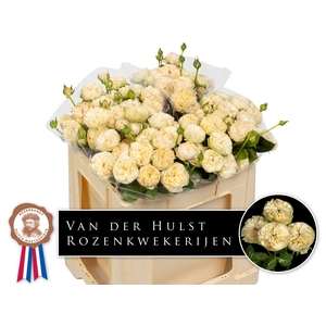 R Tr Royal Champagne Paul Hulst