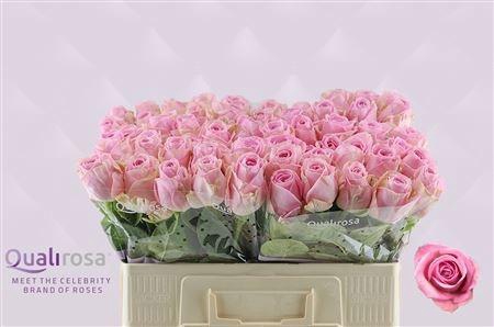 <h4>R GR HEIDI!</h4>