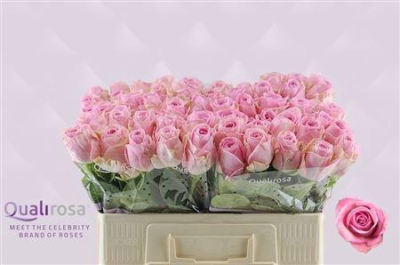 <h4>R GR HEIDI!</h4>