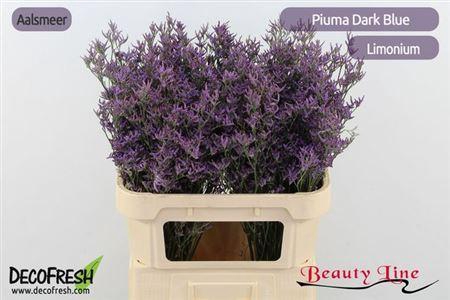 <h4>Lim Piuma Dark Blue</h4>