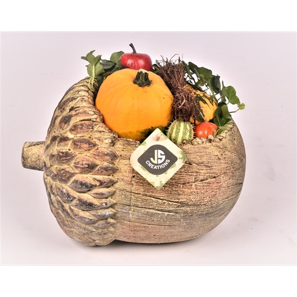 <h4>Arrangementen Sierfruit</h4>