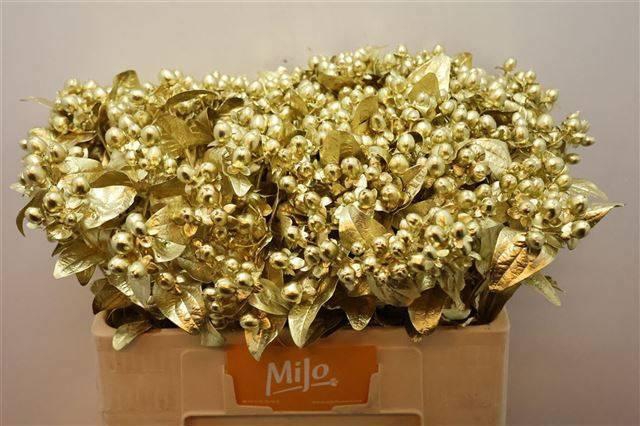 <h4>HYP OV KLB H%</h4>