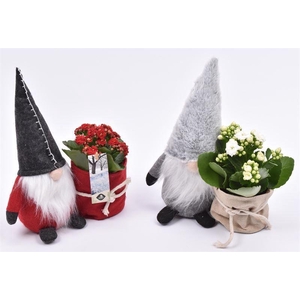 Gnoom 25 cm groen pas 9cm