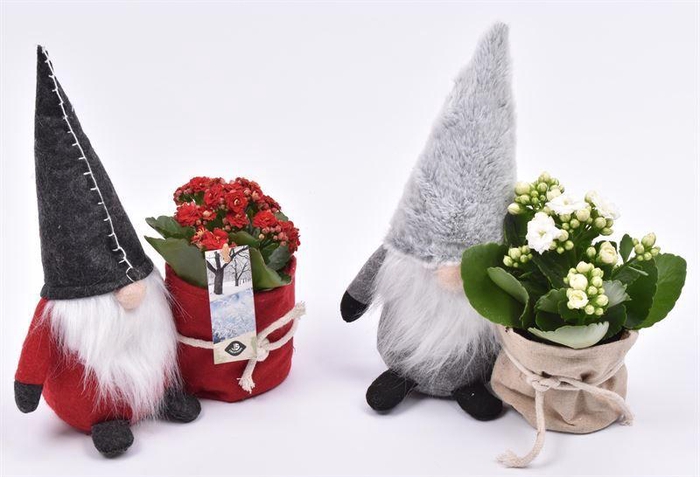 <h4>Gnoom 25 cm groen pas 9cm</h4>