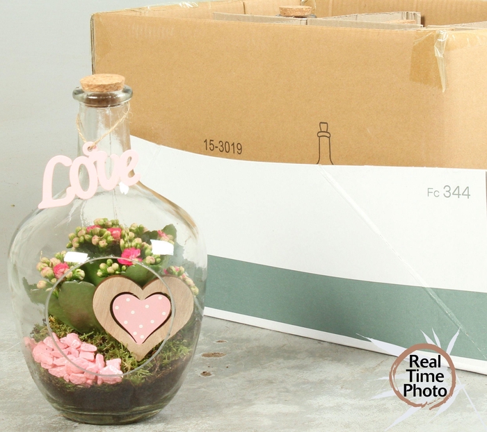 <h4>ARR KAMERPL</h4>