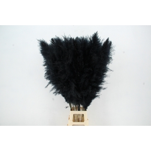 DF Pampas 130cm Black