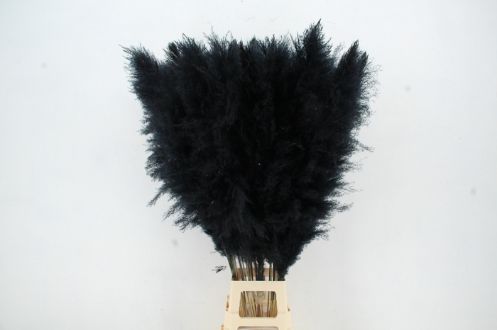 <h4>DF Pampas 130cm Black</h4>