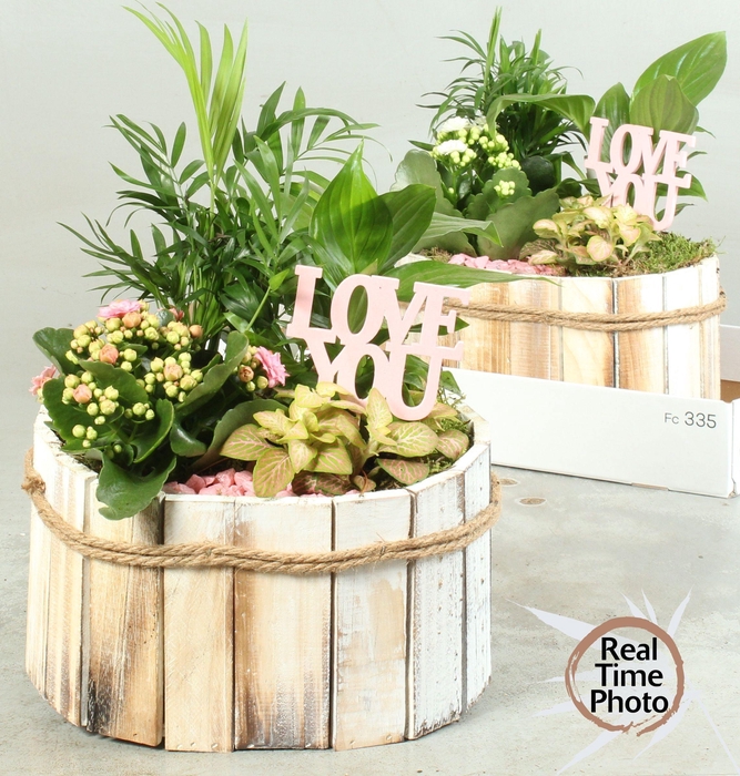 <h4>ARR KAMERPL</h4>