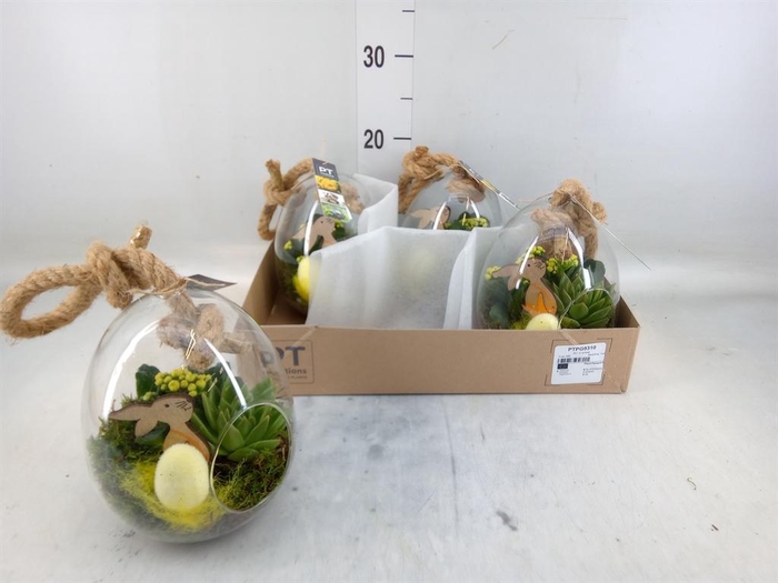 <h4>Arr. Pasen L%</h4>