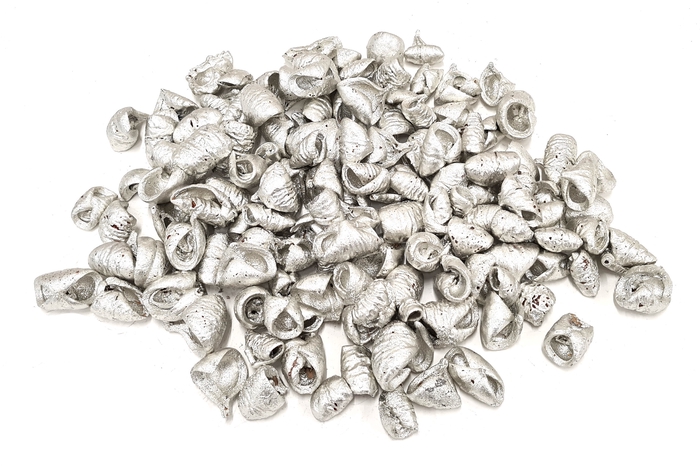 Lansunia petal 500gr in poly Platina