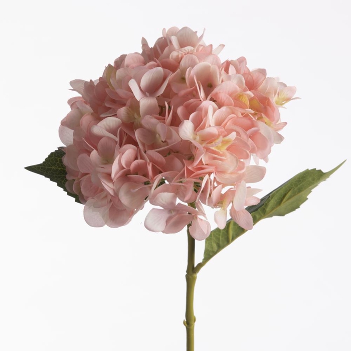 <h4>AF Hydrangea L64cm Pink</h4>