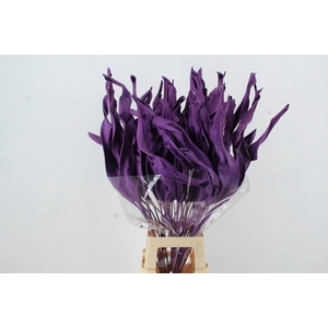 DF Strelitzia Leaf Dark Lilac
