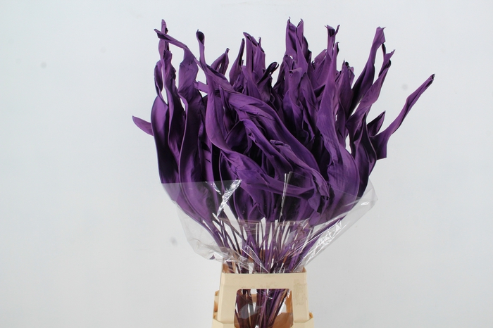 <h4>DF Strelitzia Leaf Dark Lilac</h4>