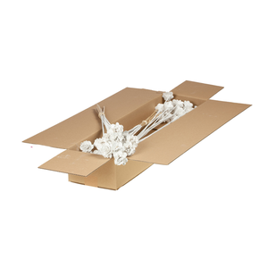 Woodr 5 O/s Sb Whte S Glt