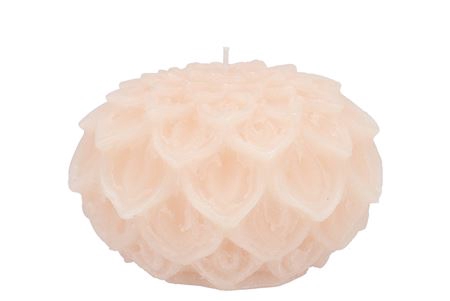 <h4>CANDLE DAHLIA IVORY 12X8CM</h4>