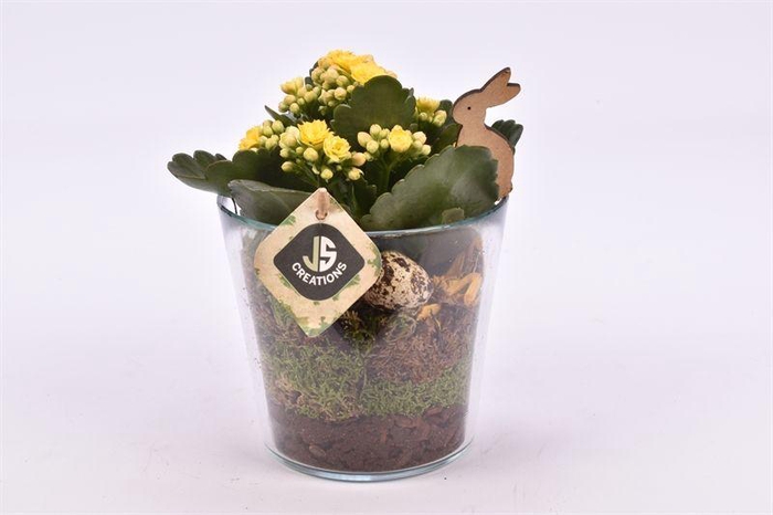 <h4>Glas potje 13 cm</h4>