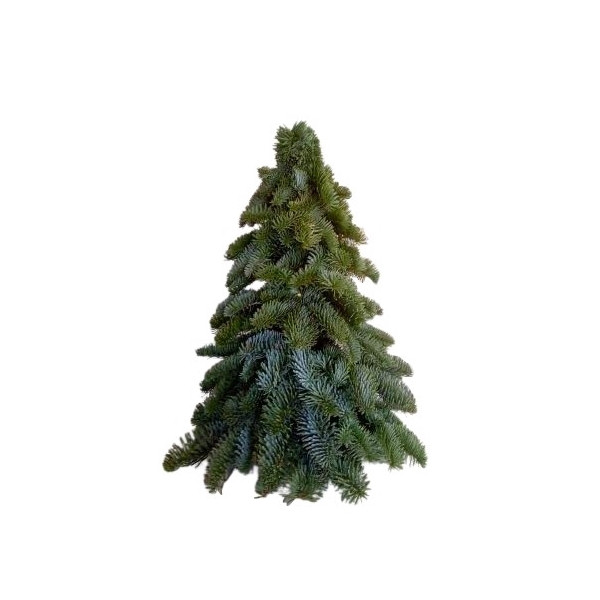 <h4>Kerst Nobilis boom rond 30 cm</h4>