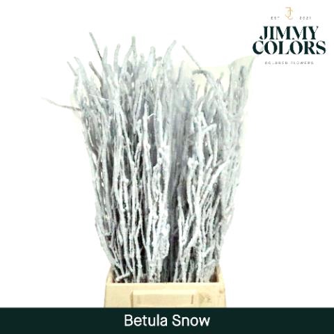 <h4>Betula paint snowwhite on white</h4>