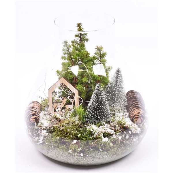 <h4>Arrangementen kamerplanten 6%</h4>