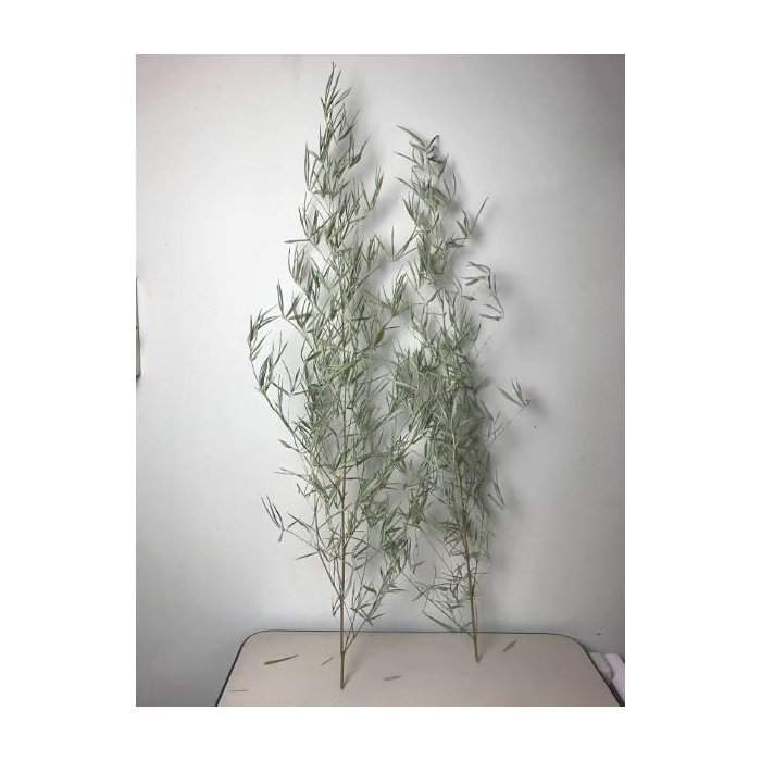 <h4>Branch Bamboo H180</h4>