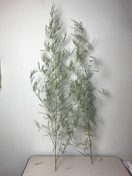 Branch Bamboo H180