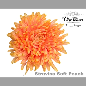 CHR G STRAVINA SOFT PEACH