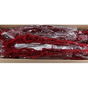 PF Amaranthus Hang Bordeaux Bs