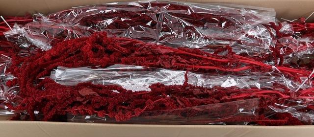 PF Amaranthus Hang Bordeaux Bs