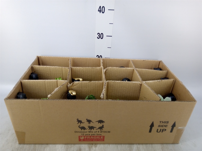 <h4>Arr.  Succulents L%</h4>