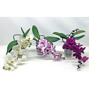 Gemengd A2 -1 Tak Table LOS