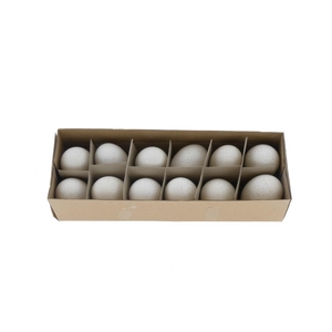 Egg Turkey White Box (12pcs)