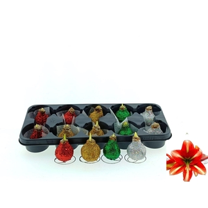 BLOEMBOL HIPPEASTRUM