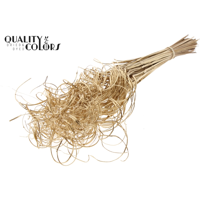 <h4>Palm Curly TT 3pc/tuft - 33 tuft/bunch Antique Gold</h4>
